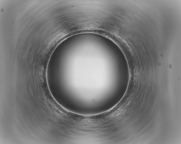 X0000086951265200704161445