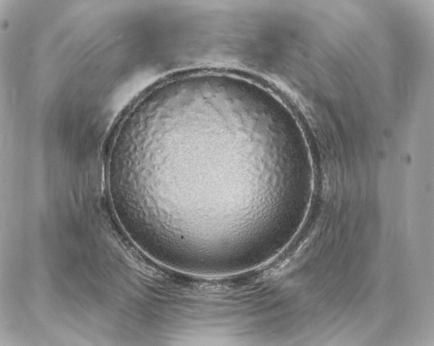 X0000086951271200704161445
