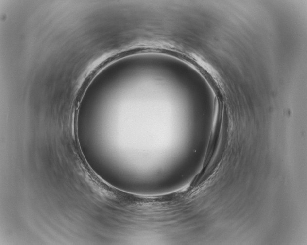 X0000086951272200704161445
