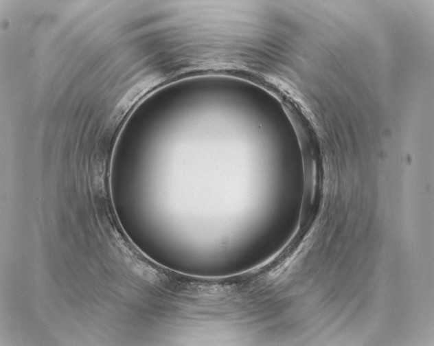 X0000086951273200704161445