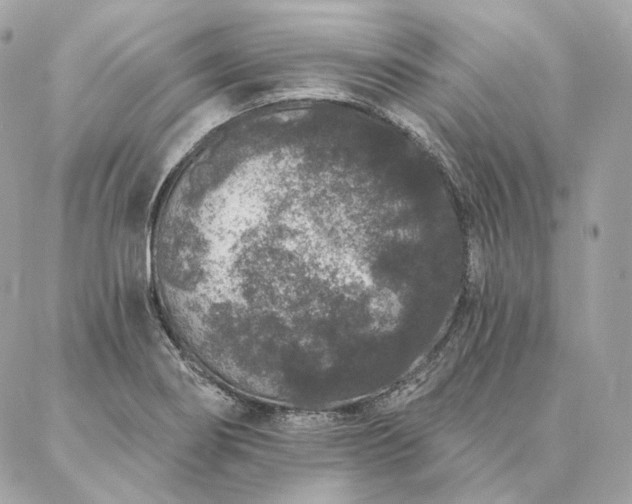 X0000086951274200704161445