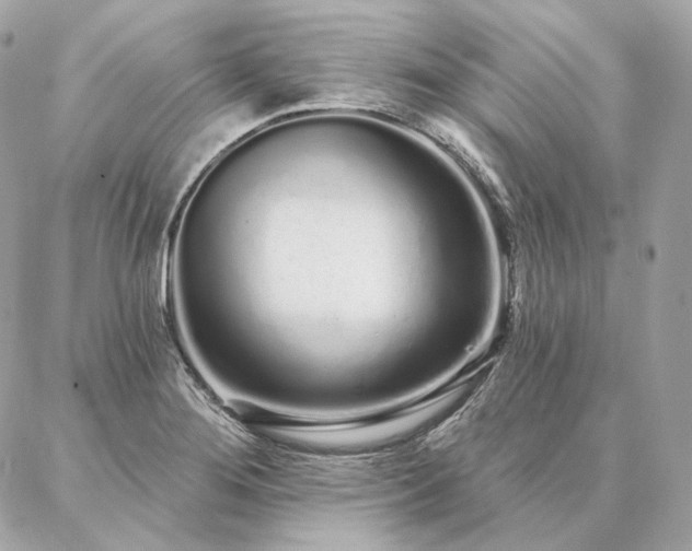 X0000086951276200704161445