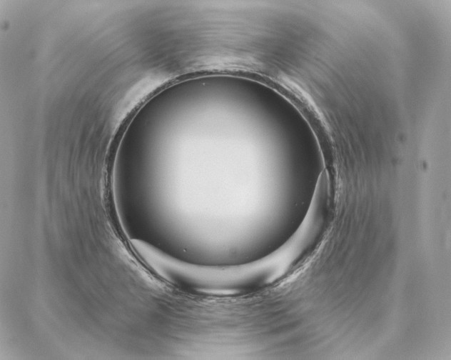 X0000086951277200704161445