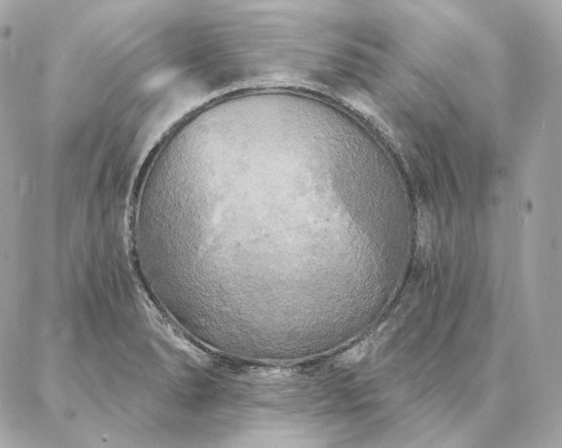 X0000086951278200704161444