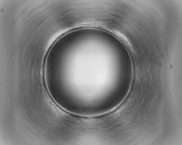 X0000086951288200704161444