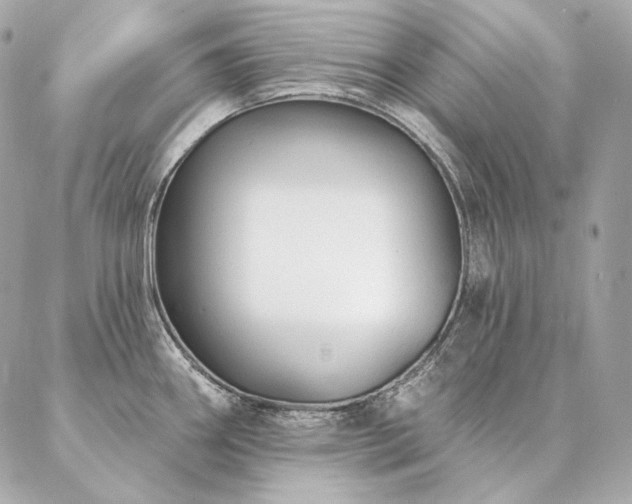X0000086951290200704161444