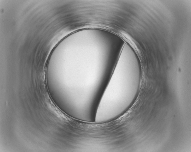 X0000086951292200704161444