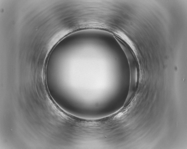 X0000086951293200704161444