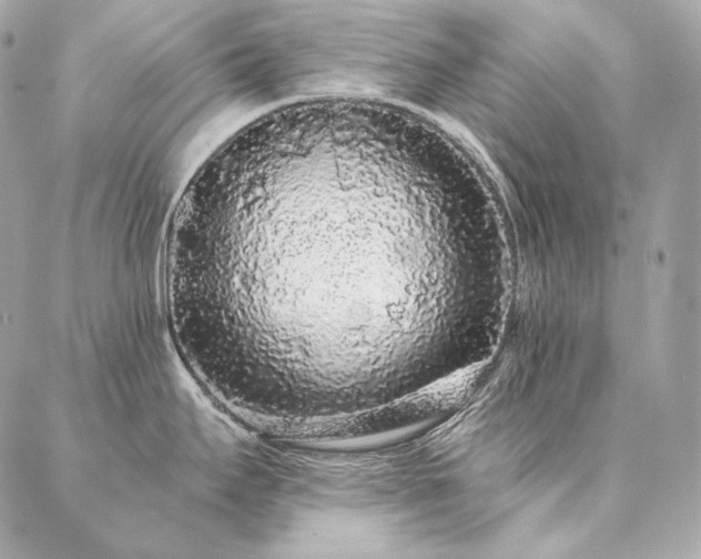 X0000086951295200704161444