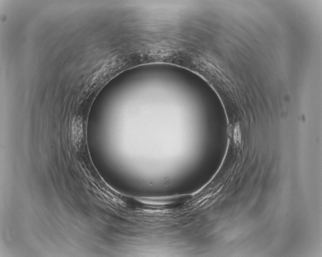 X0000086951299200704161443