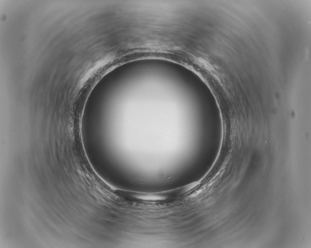 X0000086951307200704161444