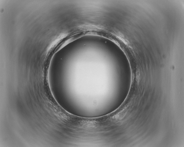 X0000086951309200704161444
