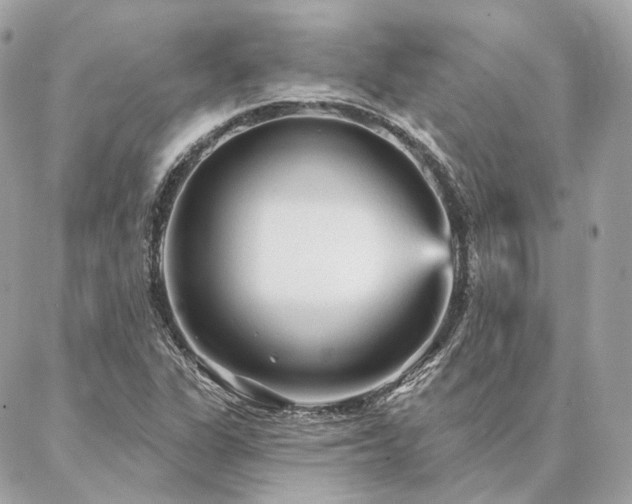 X0000086951311200704161444