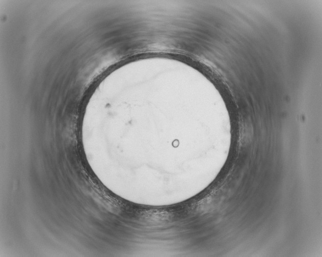 X0000086951314200704161444