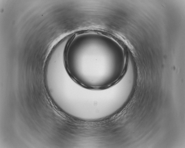 X0000086951316200704161444