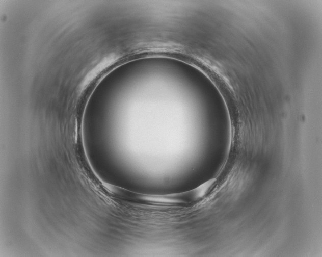 X0000086951317200704161444