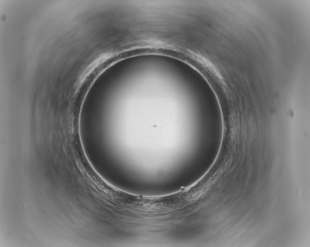 X0000086951318200704161444