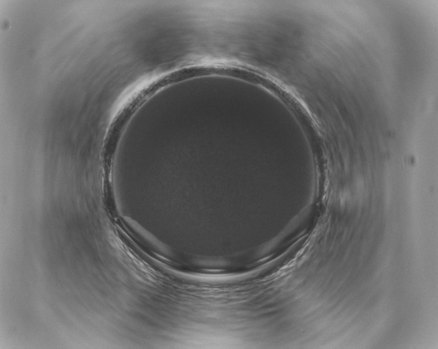 X0000086951319200704161444