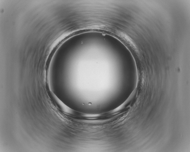 X0000086951324200704161444