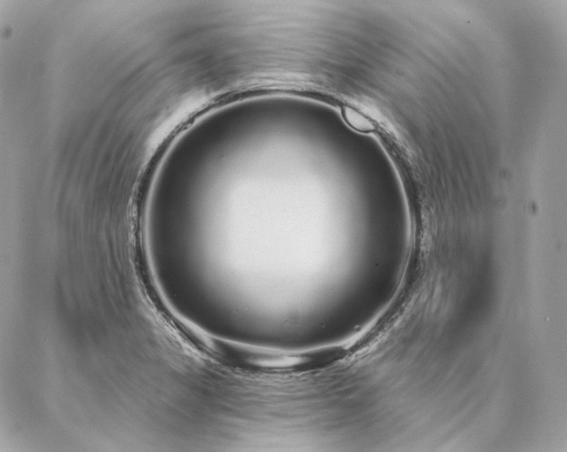 X0000086951325200704161444
