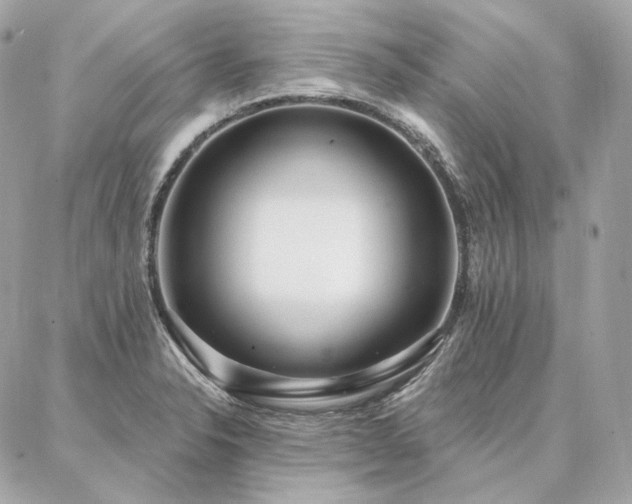 X0000086951326200704161444