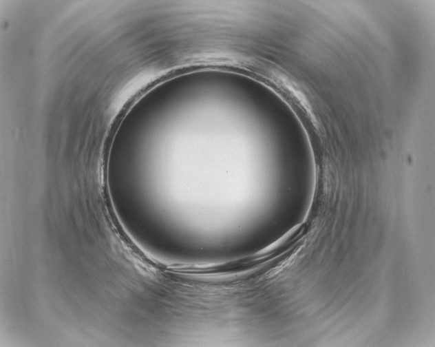 X0000086951328200704161444