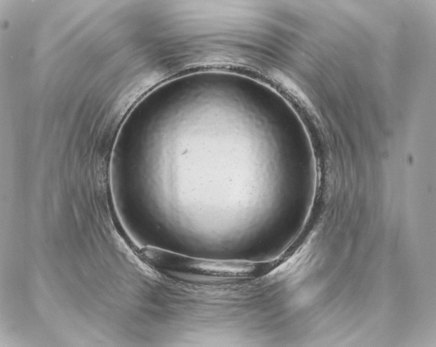X0000086951329200704161444