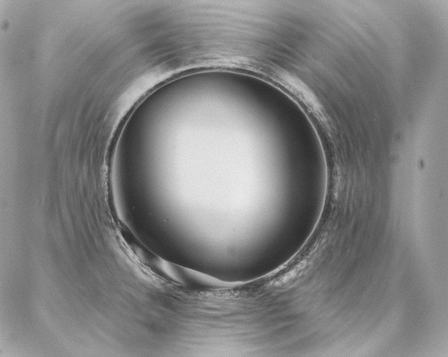 X0000086951332200704161444