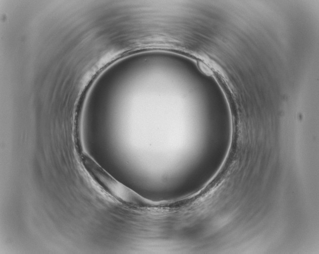 X0000086951333200704161444