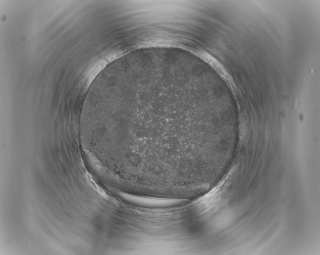 X0000086951337200704161444