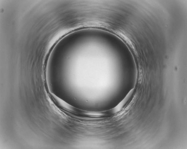 X0000086951342200704161444