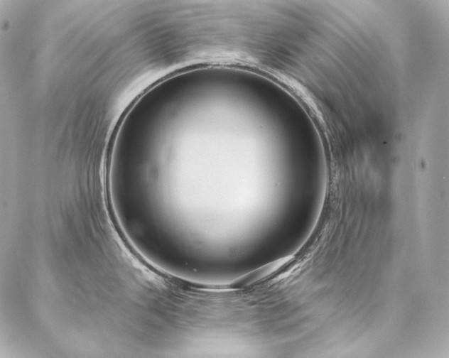 X0000086951343200704161444