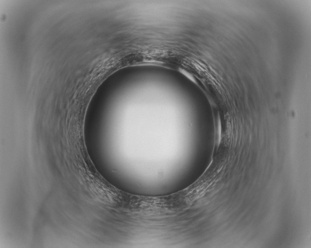 X0000086951345200704161443