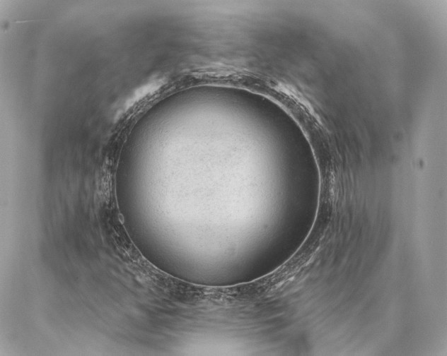 X0000086951350200704161443