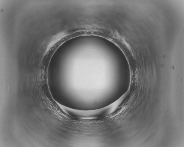 X0000086951352200704161443