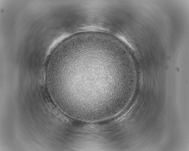 X0000086951358200704161443
