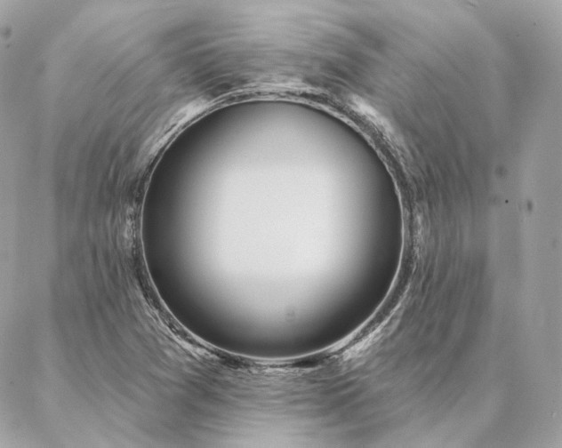 X0000086951361200704161443