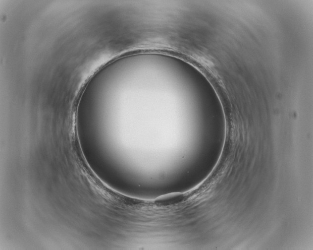 X0000086951366200704161443
