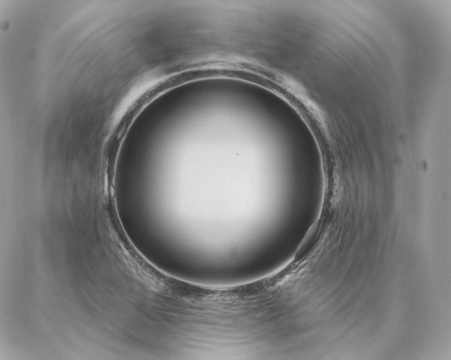 X0000086951368200704161443