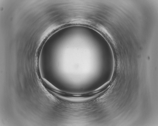 X0000086951376200704161443