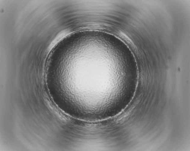 X0000086951378200704161443