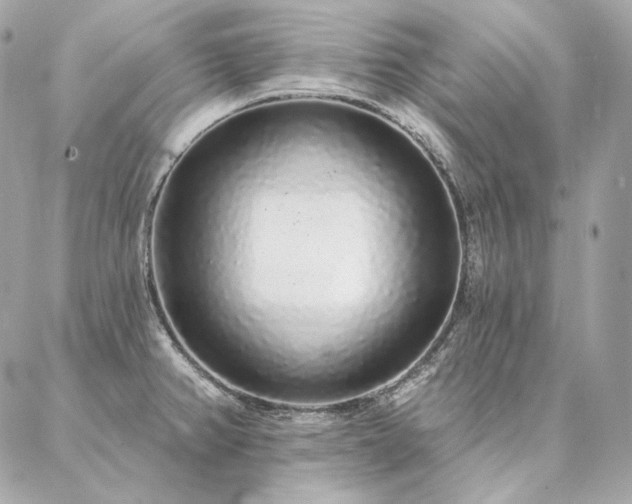 X0000086951382200704161443