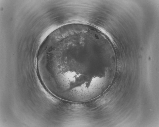 X0000086951383200704161443