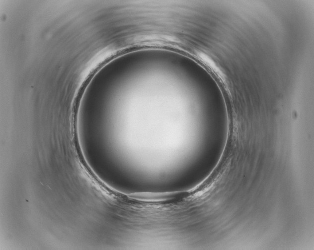 X0000086951384200704161443