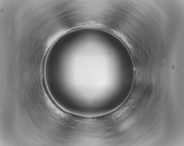X0000086951387200704161443