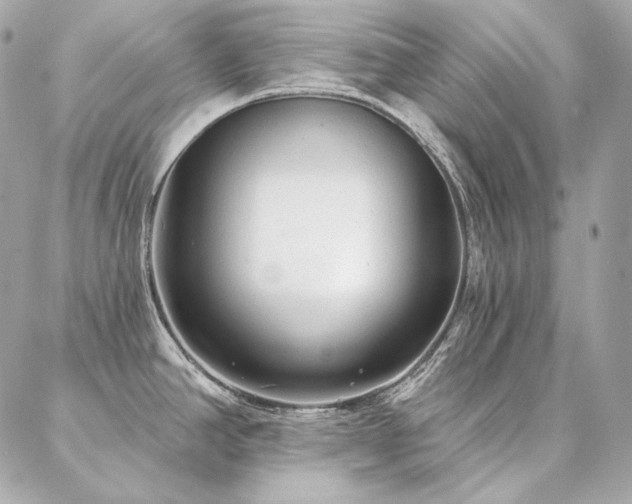 X0000086951390200704161443