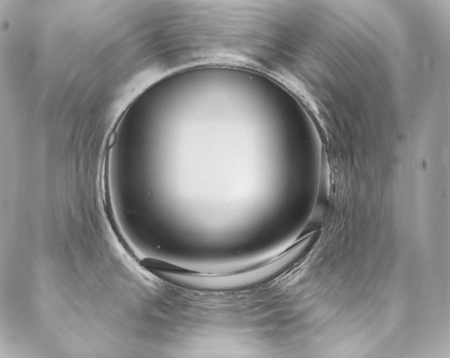 X0000086951391200704161443