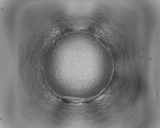 X0000086951393200704161442