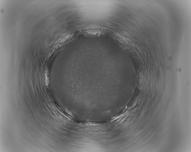 X0000086951394200704161442
