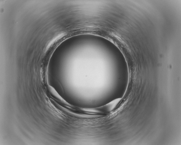 X0000086951402200704161442